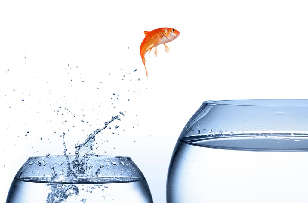 Goldfish jumping from a smaller fishbowl to a bigger one - improvement concept