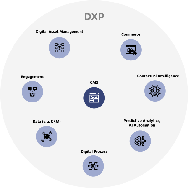 DXP Diagram