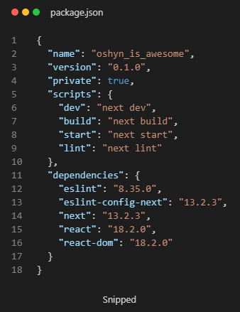 Screenshot of the package.js code