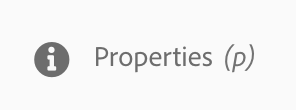 AEM Properties icon