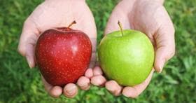 Hands holding red and green apples