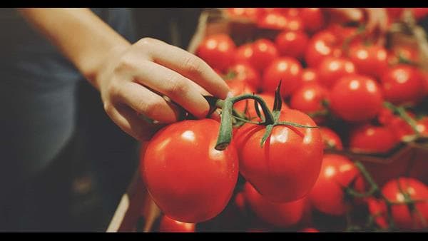 Woman selecting tomatoes.