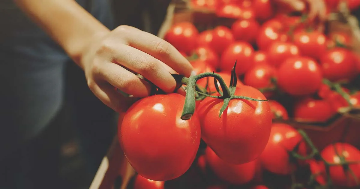 Woman selecting tomatoes.