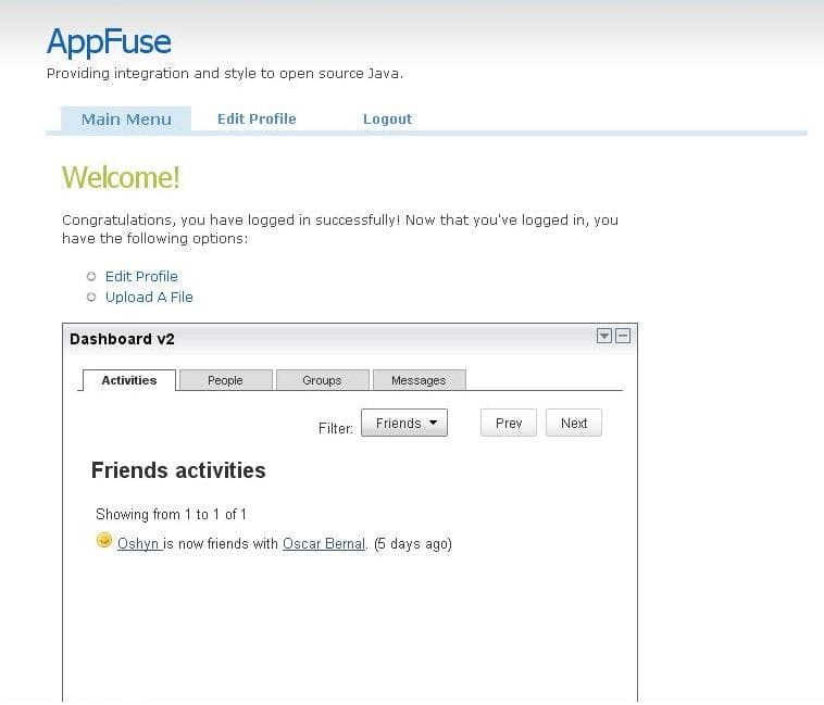 AppFuse Dashboard Activities